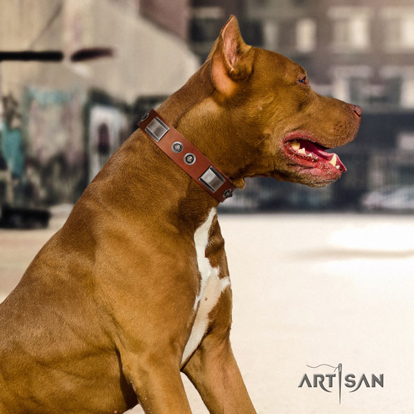 Pitbull handmade genuine leather dog collar with awesome embellishments
