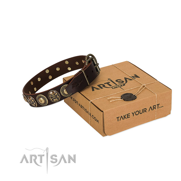 Studded full grain natural leather dog collar for everyday walking