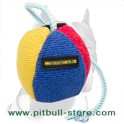 Training ball for Pitbull stitched colorful surface