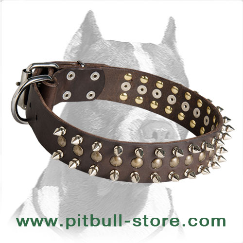 Padded Leather Spiked Studded Dog Collar for Medium Large Dogs Pitbull  Bulldog