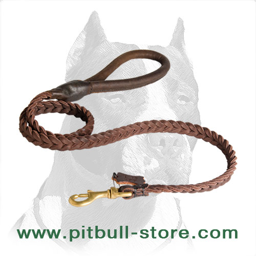 dog leash design