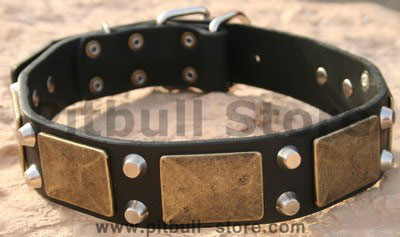 Cool Dog Collar Spiked Studded Leather Pet Dog Collars Pitbull Bulldog  Collar