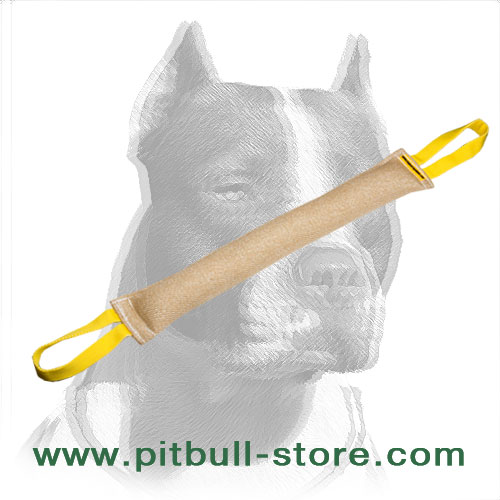 pitbull tug toy