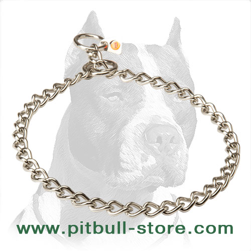 Pitbull store choke collar