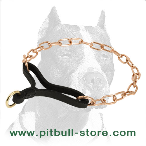 martingale collar for pitbull