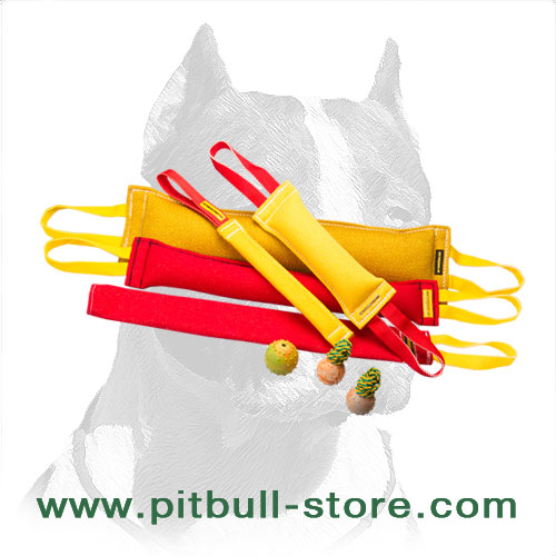 pitbull tug toy