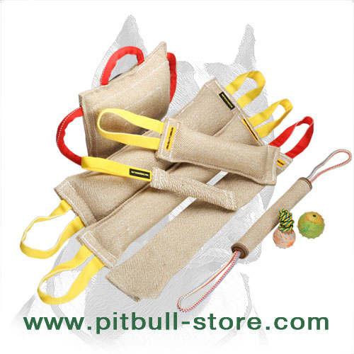 Buy Jute Dog Training Set, Bite Roll, Toys, Rag