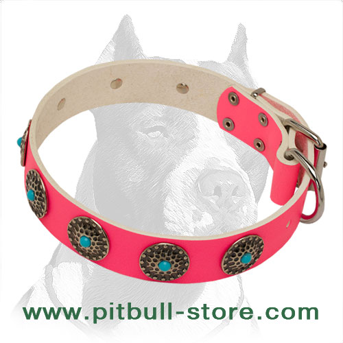 Dog collars for female hot sale pitbulls