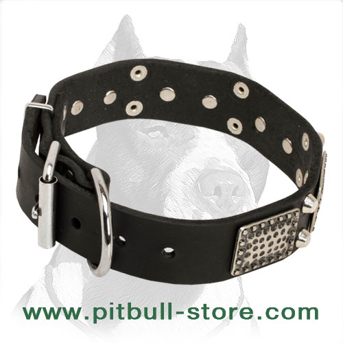 big dog collars leashes