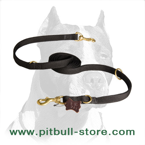 strong leash for pitbull