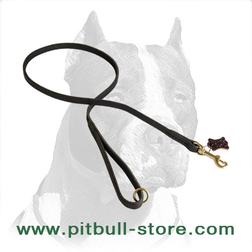 pitbull dog leash