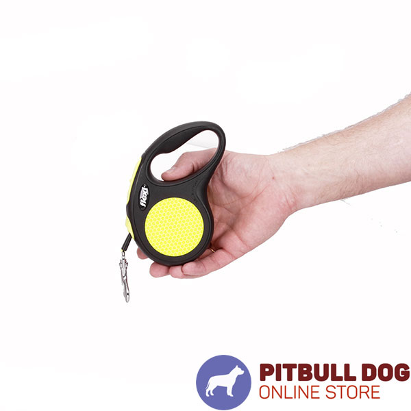 Small Canines Retractable Dog Leash for Everyday