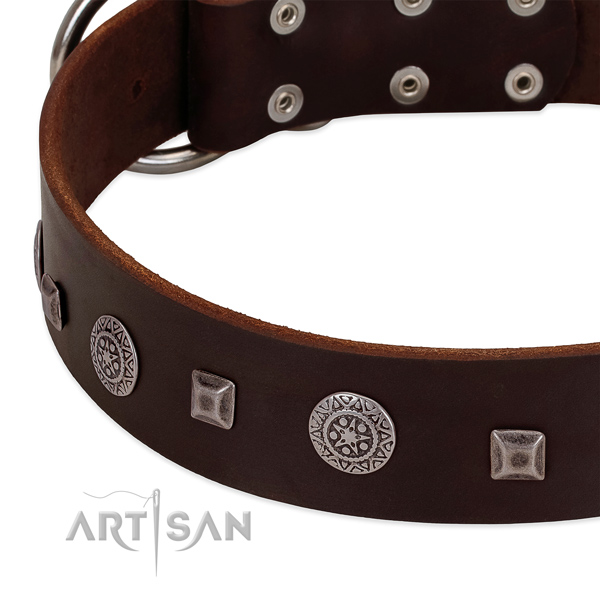 Best quality full grain genuine leather dog collar with designer adornments