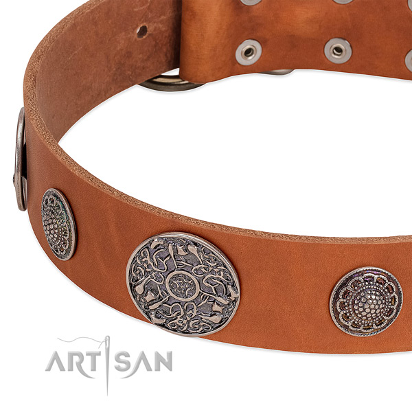 Rust resistant traditional buckle on natural genuine leather dog collar