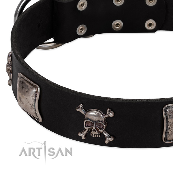 Durable embellishments on full grain leather dog collar