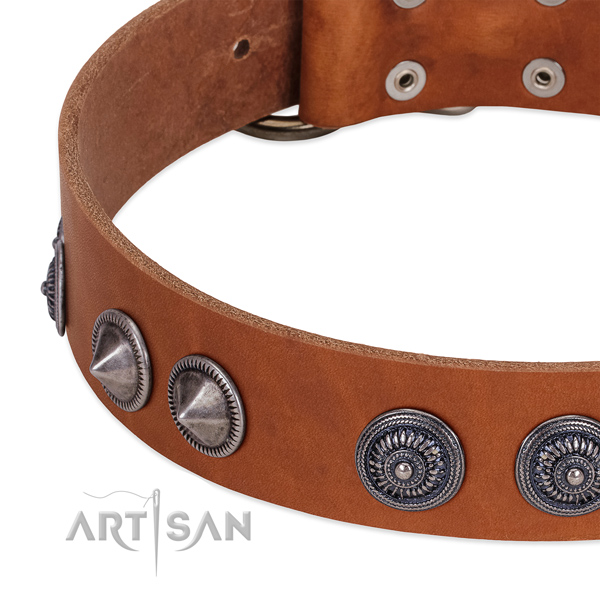 Designer full grain leather dog collar with durable D-ring