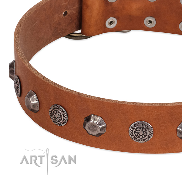 Stunning full grain leather collar for your four-legged friend stylish walks