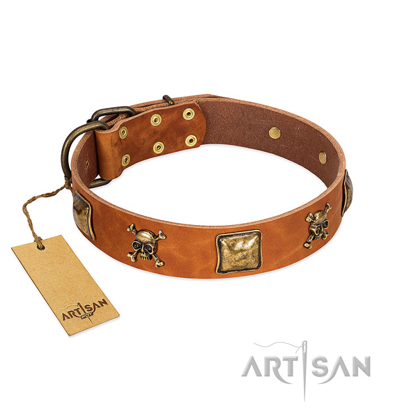 Stylish natural leather dog collar with rust resistant studs