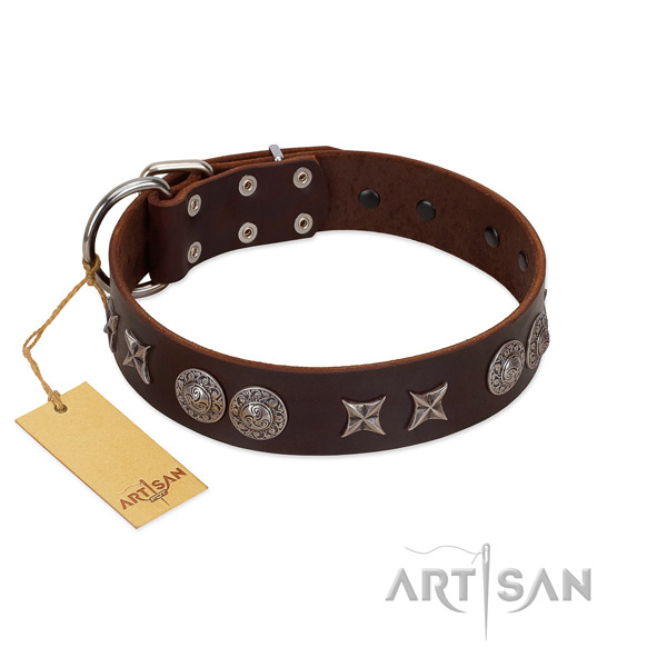 Strong full grain natural leather dog collar for your attractive canine