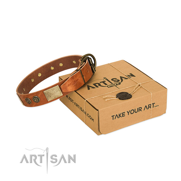 Corrosion proof D-ring on leather dog collar for comfy wearing