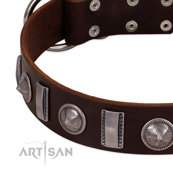 Inimitable embellished full grain leather dog collar for stylish walking