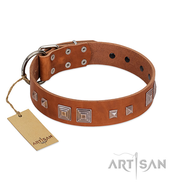 Corrosion proof traditional buckle on genuine leather dog collar for everyday use