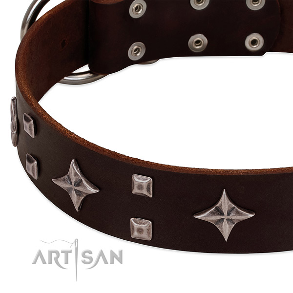 Embellished genuine leather dog collar for stylish walking
