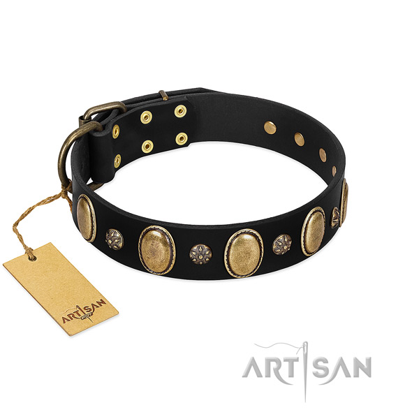 Easy wearing top rate genuine leather dog collar with adornments