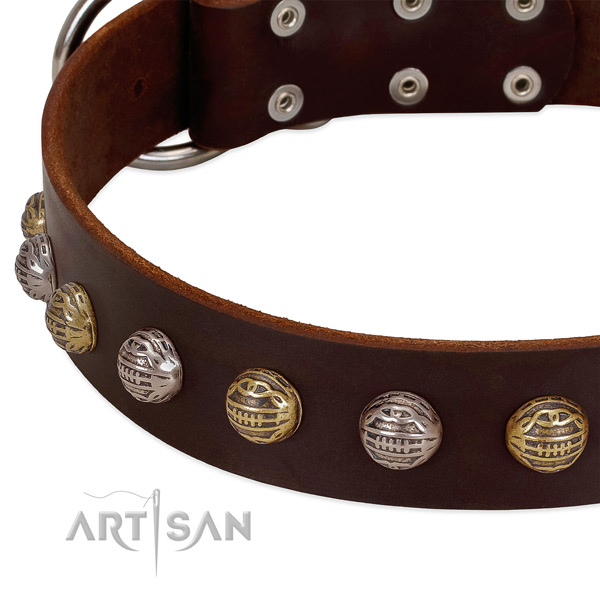 Genuine leather dog collar with rust resistant traditional buckle and studs
