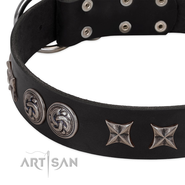 Leather collar with top notch adornments for your pet