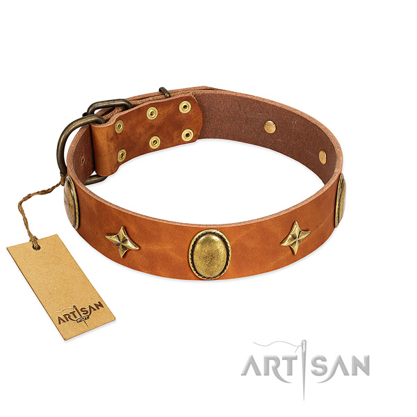 Flexible genuine leather dog collar with corrosion proof studs