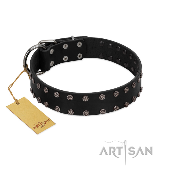Everyday walking leather dog collar with designer embellishments