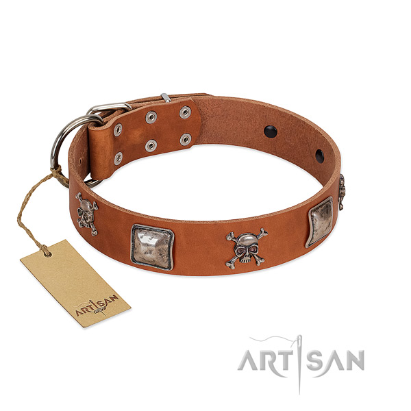 Trendy dog collar crafted for your beautiful pet