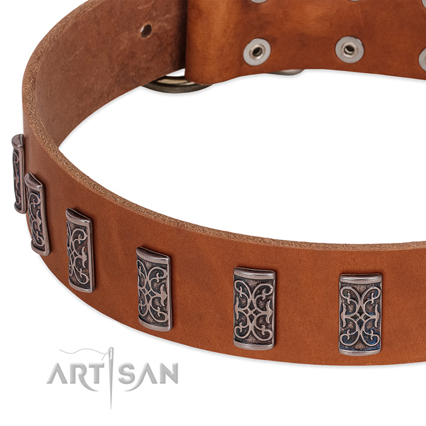 Designer full grain genuine leather dog collar with corrosion proof D-ring