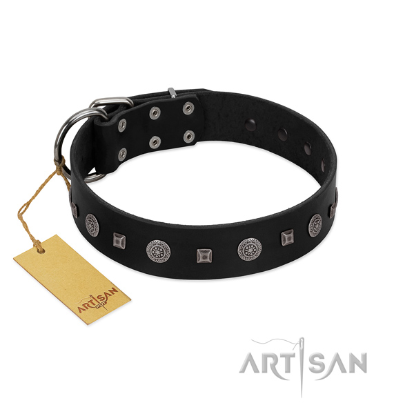 Impressive collar of genuine leather for your handsome doggie