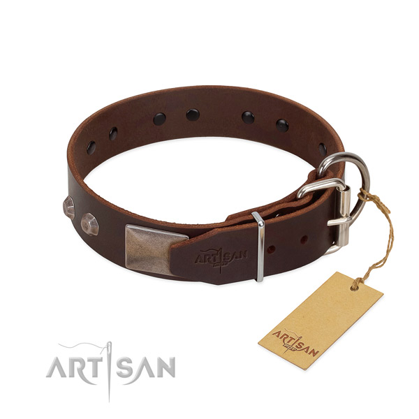 Exceptional natural genuine leather dog collar for everyday walking your pet