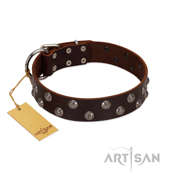 Top notch full grain genuine leather dog collar with embellishments