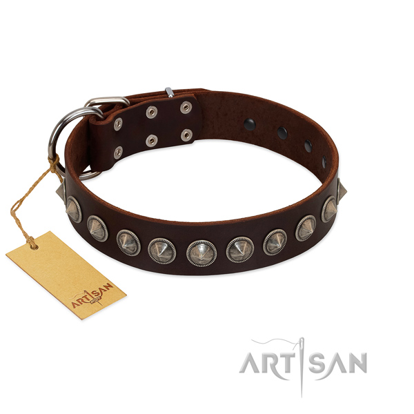 Gentle to touch full grain leather dog collar with unique embellishments