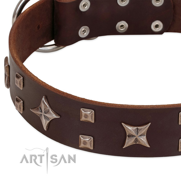 Strong buckle on genuine leather collar for daily walking your dog