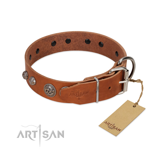 Rust-proof adornments on leather dog collar for your doggie