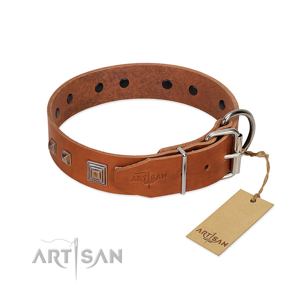 Stylish walking natural leather dog collar with unique embellishments