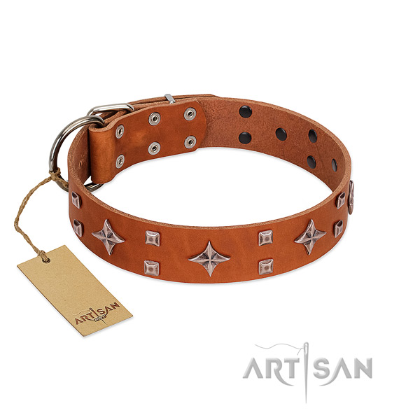 Top notch genuine leather collar for your canine stylish walks