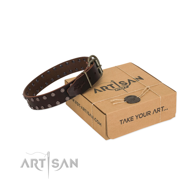 High quality full grain natural leather dog collar with adornments for your stylish doggie