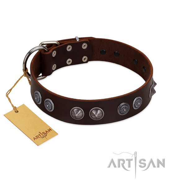 Leather dog collar with impressive adornments for your four-legged friend