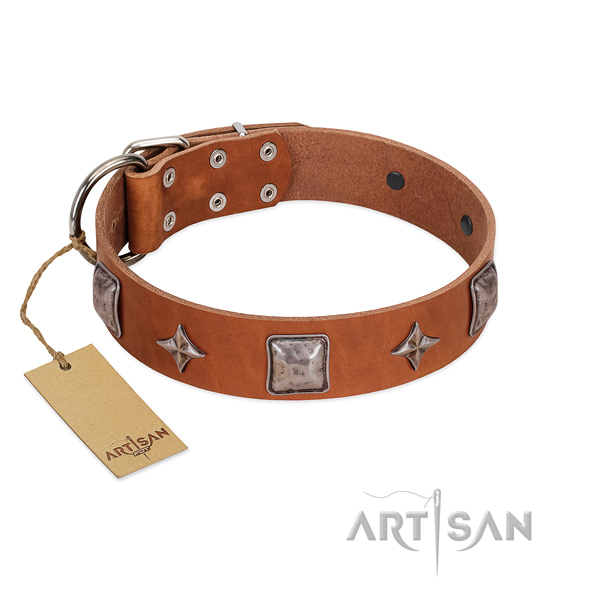 Quality full grain leather dog collar with embellishments for stylish walking