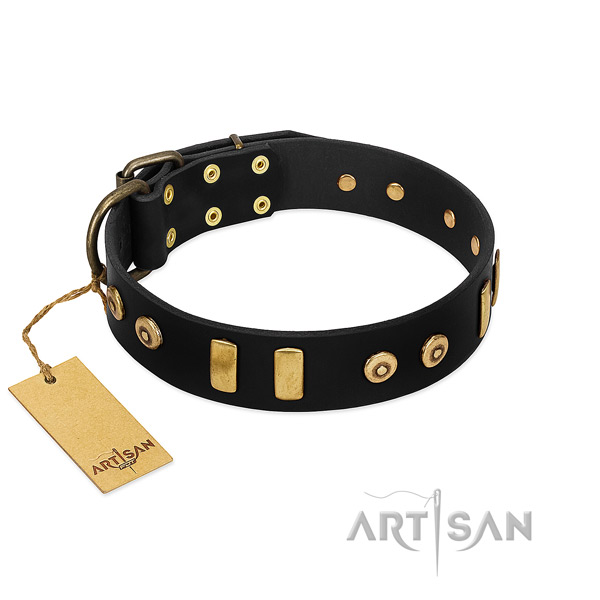 High quality leather dog collar with stylish design decorations
