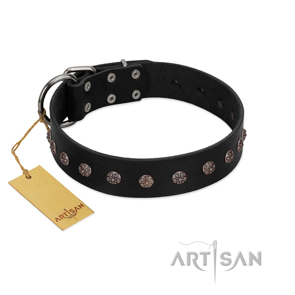Daily walking natural leather dog collar with inimitable adornments