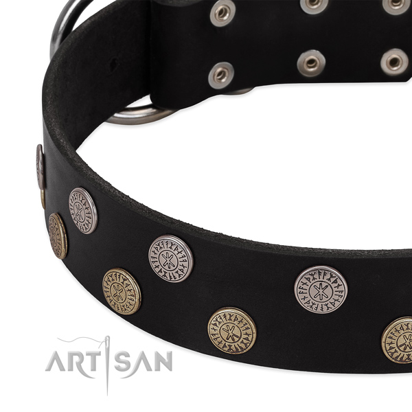 Top notch embellishments on leather dog collar for daily use