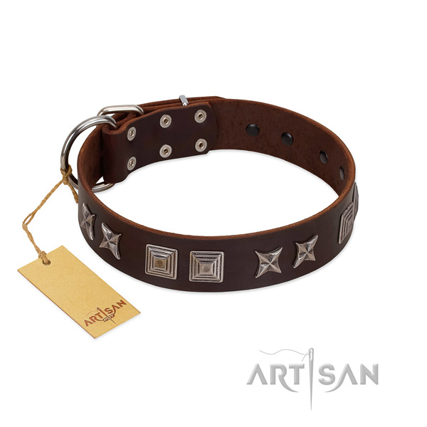 Natural leather dog collar with inimitable studs handmade pet