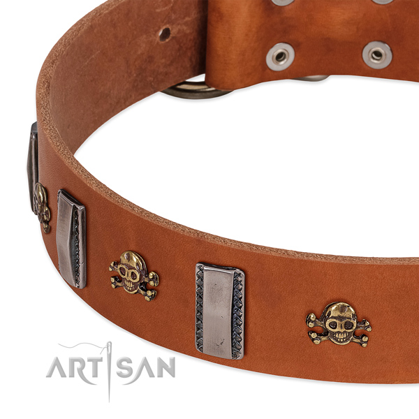 Amazing dog collar of genuine leather with decorations